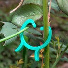 Conector de clip plástico de la torsión de la participación de la planta del anillo PE del jardín los 3cm