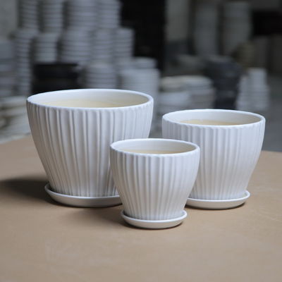 Drenaje Shell Decorative Ceramic Plant Pots del ODM el 16cm con el platillo