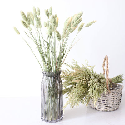 A casa adorne los manojos secados de la flor del Bristlegrass verde de los 40cm