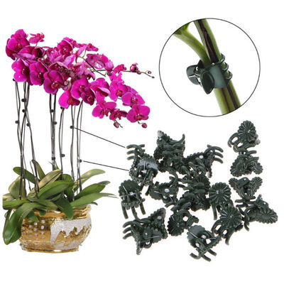 Abrazadera plástica de la anchura de la ayuda el 1cm de la vid para los clips de la orquídea de mariposa